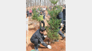 [인천/경기]내 나무 내가 심어요