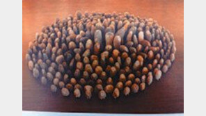 [미술 단신]조각가 박찬갑 씨 外