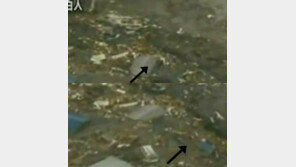 日 쓰나미 피해가는 괴생명체 영상