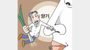 [헬스&뷰티/이상곤 박사의 맛있는 동의보감 이야기]<1>매콤한 대파 먹고 감기 뚝!