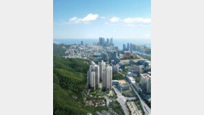 부산 분양 시장…합리적 가격, 브랜드 가치 갖춘 아파트 인기