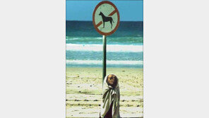 ‘저 개 아니에요’ 사진 화제… “완벽한 위장술 귀엽네”