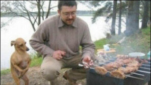 자세 나오는 강아지 ‘쇼파에 앉아 TV시청, 가장의 포스가…’