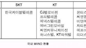 전략적인 MVNO, 블루오션 되나 