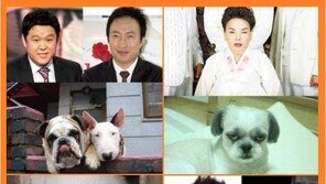 연예인 닮은 개 “김구라 박명수는 심지어 함께 있기까지”