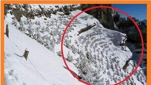 이제 팩 떼볼까, 아이스 팩 시원하겠네 “근데 여긴 어디?”