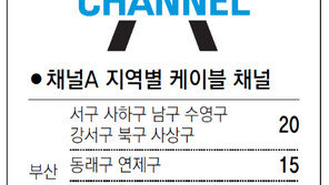 [부산/경남]채널A 지역별 케이블 채널