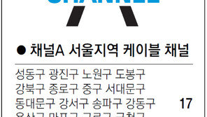 [수도권]채널A 서울지역 케이블 채널