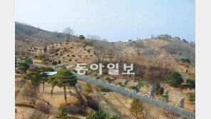 [수도권]파주 용미리 묘지 묘역 줄이고 연구-의료시설 세운다