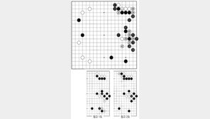 [바둑]제56기 국수전…무심코 둔 28…고전의 시작