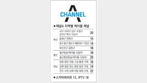 [인천/경기]채널A 지역별 케이블 채널