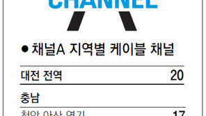 [강원][대전/충남][충북]채널A 지역별 케이블 채널