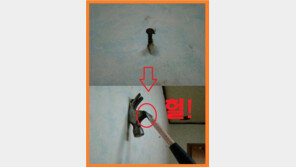 못만 뽑으려 했는데, “망치가 휠 정도면 저 사람도 천하장사”