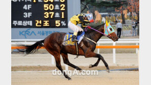 신예 ‘스마티문학’ 3연승 쏜다