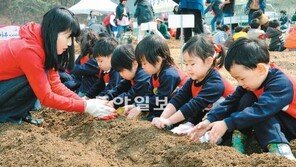 [대구/경북]“해바라기 심어요”