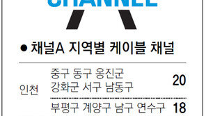 [인천/경기]채널A 지역별 케이블 채널