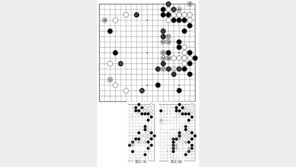 [바둑]제56기 국수전… 54 타개의 맥점
