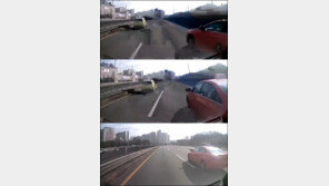 [영상] 난폭 택시 동영상, “추돌 위협 후 도망가?”