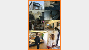 이효리 집 공개!  친환경 원목 인테리어  “유기견을 위한 배려?”