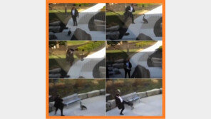 [영상] 남성 vs 야생 거위, 大 폭소 “저 아저씨 펜싱선수 아니야?”