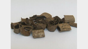 발기부전에 효과 있는 나무껍질