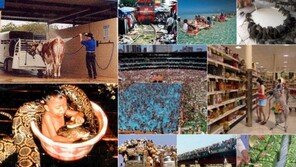 이 나라에서만 볼 수 있는 풍경, “조작 아니야?”