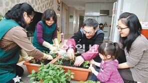 [O2/Life]실내 텃밭에서 새싹 친구들과 파릇파릇 놀아 보세요