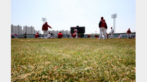 사직구장 내야 흙 전면교체 광주구장 천연잔디 새 단장