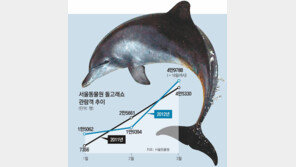 돌고래쇼, 돌고돌아 재개?