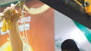 “김주성 선배 넘겠다” 다짐 1년만에 현실로… 신인 첫 MVP 오세근