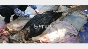 안동서 260년 된 미라 발견