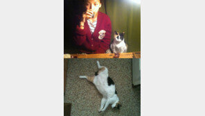 이효리, 늦은밤 고양이와 술에 취해 ‘大자?’