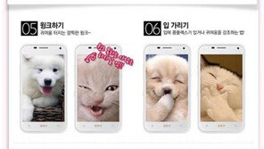여자들 셀카 유형 동물 버전, “속지말자 셀카발! 하하하”