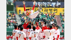 어린왕자 드롭커브 추억으로…