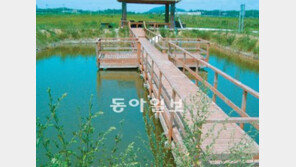 [광주/전남]“둠벙은 살아있는 생태 교육장”… 전남도 143곳 조성 계획 