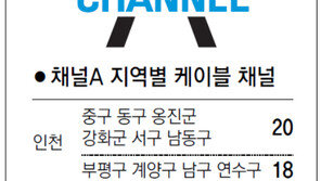 [인천/경기]채널A 지역별 케이블 채널