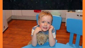 과일로 만든 태양계 “아이의 엄마는 영국판 신사임당?”