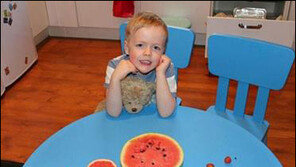 과일로 만든 태양계  “아이의 상상력 기발하네”