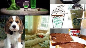 악마별명을 가진 것들 화제 “귀여운 비글은 왜 악마?”