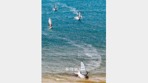 [부산/경남]바다는 벌써 여름