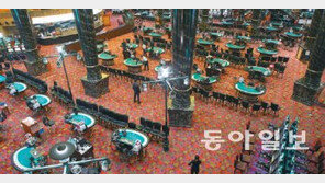 강원랜드 ‘카지노 노숙인’ 500여명 다 어디로?