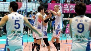 “첫 우승” 인천팬 꿈을 품고…다시 솟아오르는 대한항공