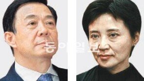 英 사업가 살해 혐의 보시라이 부인 체포