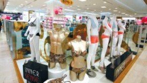 “불황엔 고급 속옷 불티”… 백화점서 보고 홈쇼핑서 산다