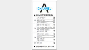 [광주/전남][전북][제주]채널A 지역별 케이블 채널