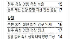 [강원][대전/충남][충북]채널A 지역별 케이블 채널