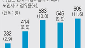노인운전자가 낸 사망사고 자꾸 느는데…