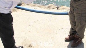 [약속 2012 4·11총선 이후]“지지 감사합니다”