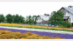 [O2/꽃과의 대화]소박한 자연의 꽃만큼 잘 가꾼 꽃정원 보는 재미도 쏠쏠