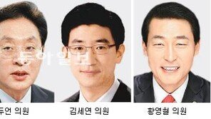 [약속 2012 4·11총선 이후]수도권 쇄신파 ‘박근혜 보완재’로 뜬다